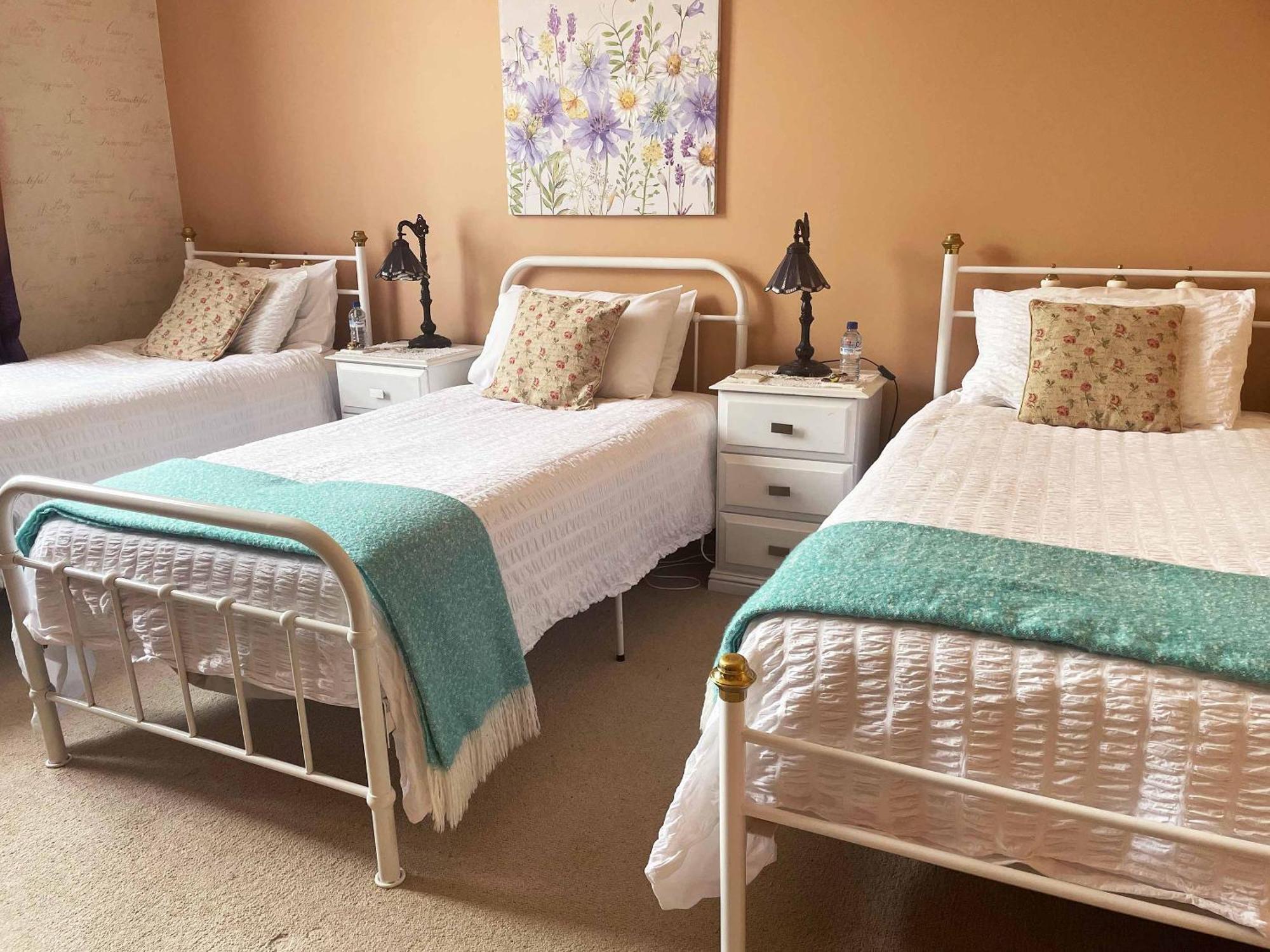 ديفونبورت Stony Rise Cottage B&B المظهر الخارجي الصورة